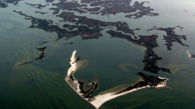 Saltwater wetlands that include marshes and shoals on Virginia's Atlantic coast. U.S. coastal wetlands losses were 25 percent greater from 2004-2009, according to a recent federal study. U.S. Fish and Wildlife Service Saltwater wetlands that include marshes and shoals on Virginia's Atlantic coast. U.S. coastal wetlands losses were 25 percent greater from 2004-2009, according to a recent federal study. U.S. Fish and Wildlife Service