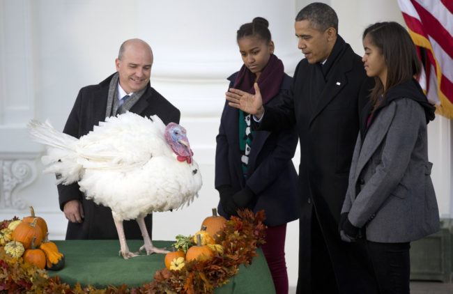 President Barack Obama, with daughters Sasha, second from left, and Malia, right, bestows a presidential pardon on Popcorn, the turkey, in a White House Thanksgiving tradition. Carolyn Kaster/AP President Barack Obama, with daughters Sasha, second from left, and Malia, right, bestows a presidential pardon on Popcorn, the turkey, in a White House Thanksgiving tradition. Carolyn Kaster/AP