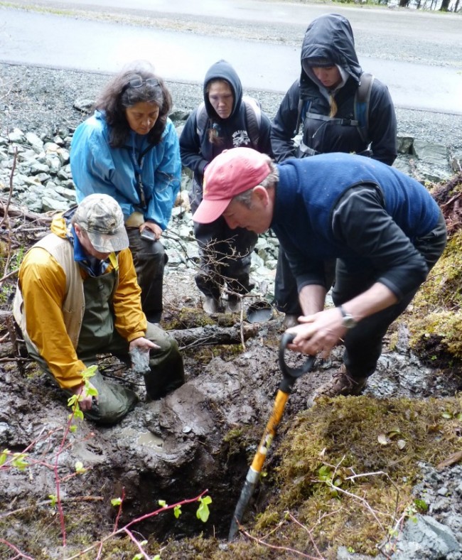 5-13 Soil scientist Dave D'Amore, right, works with students and anthropology professor Dan Monteith, left, during a dig on the University of Alaska Southeast's Juneau campus.