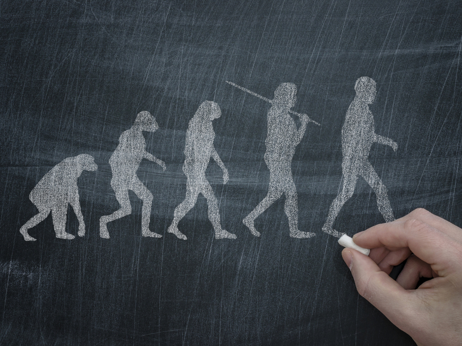 Image evolution-gap-f5af84b388029ae16a86baaf4183ffb901e62c54-s6.jpg