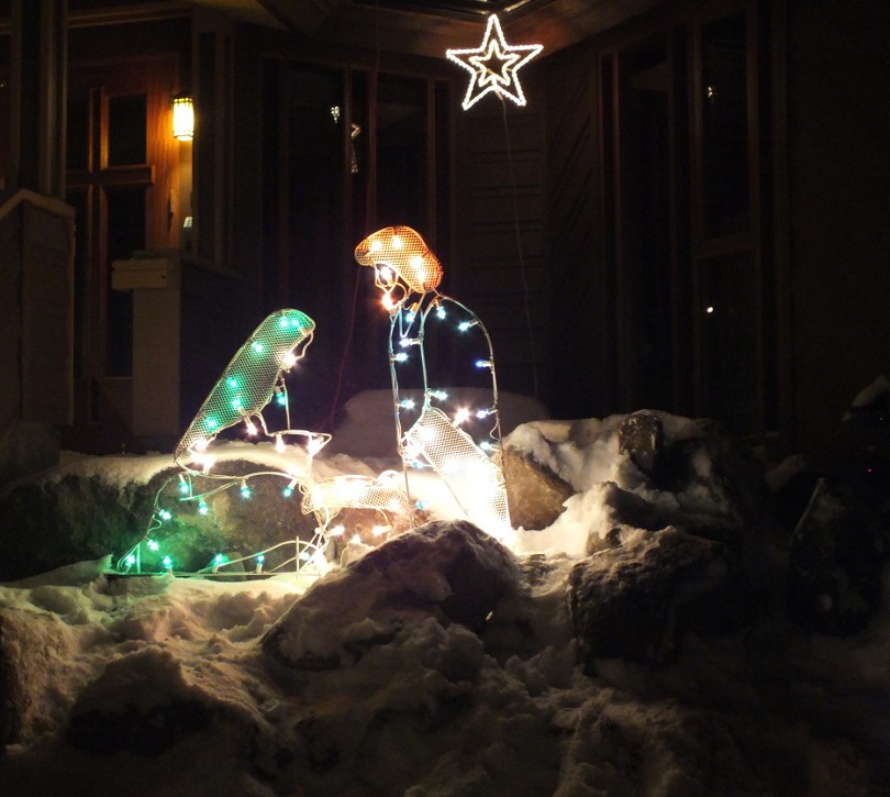 Nativity lights