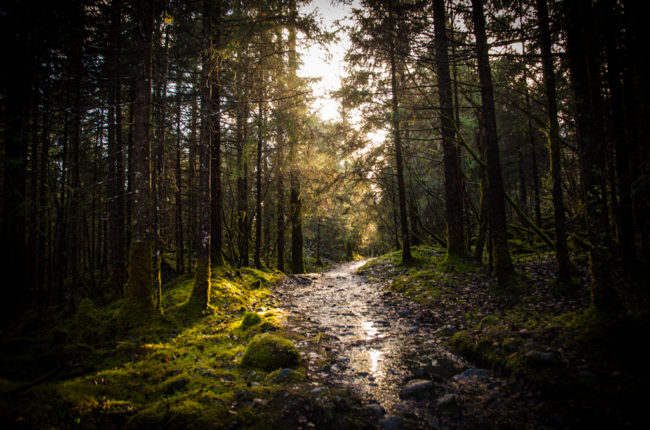 One of the indicators of a healthy community is access to recreational areas and trails, which Juneau has plenty of. (Photo by Heather Bryant)