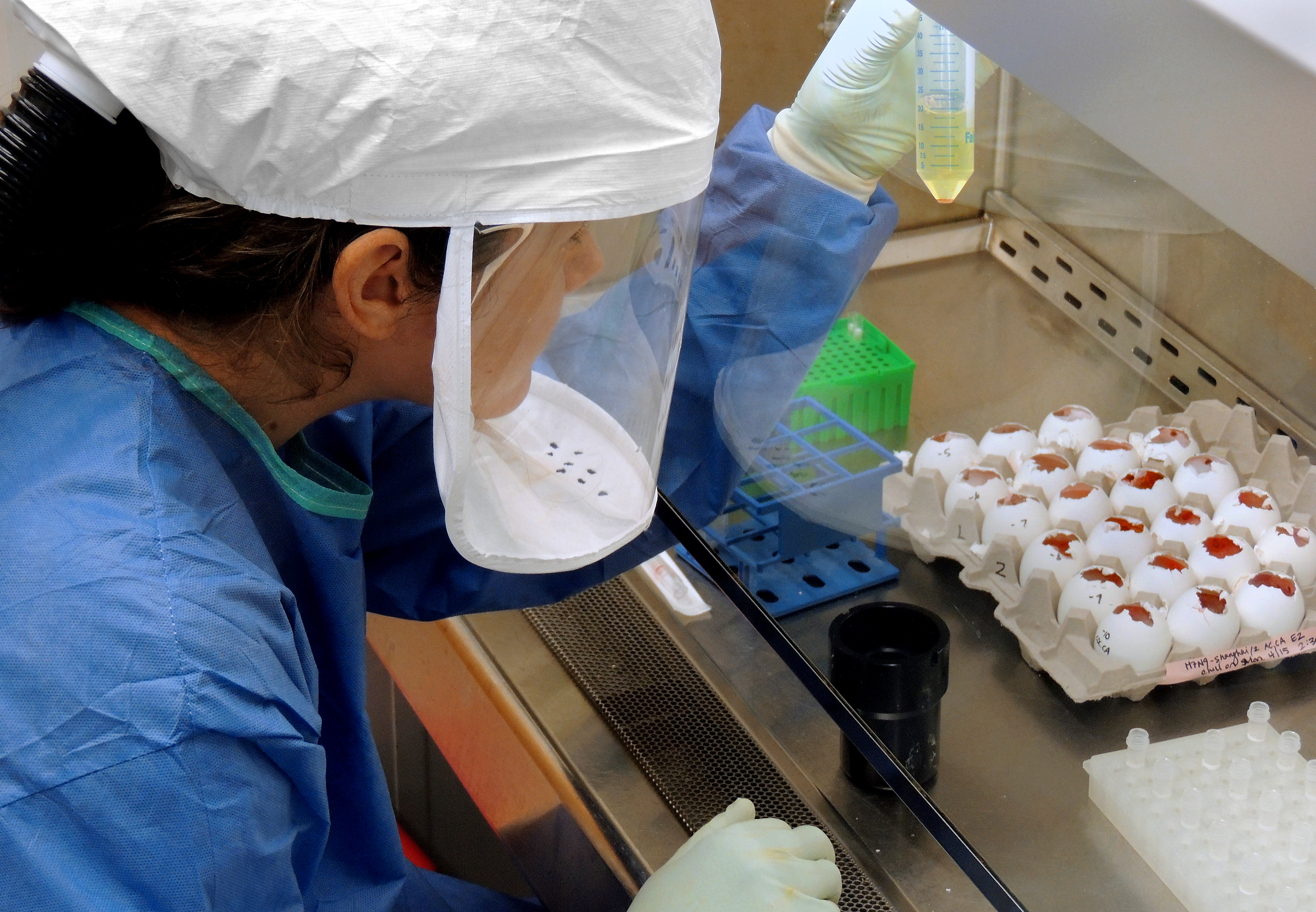 H7N9 Lab