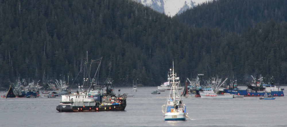 Snagging Savings: Energy audit designed to cut costs for fishermen