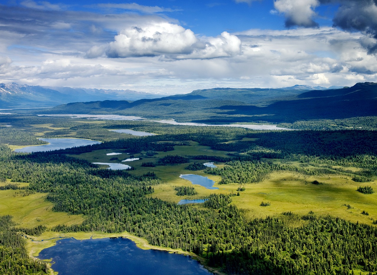Sen. Murkowski says the new Clean Water Act rule would have a large impact on Alaska's abundant wetlands. (Photo via Pixabay)