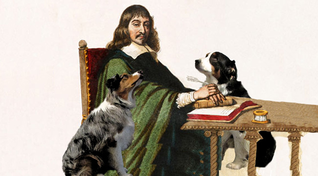 Descartes.GW_650X360