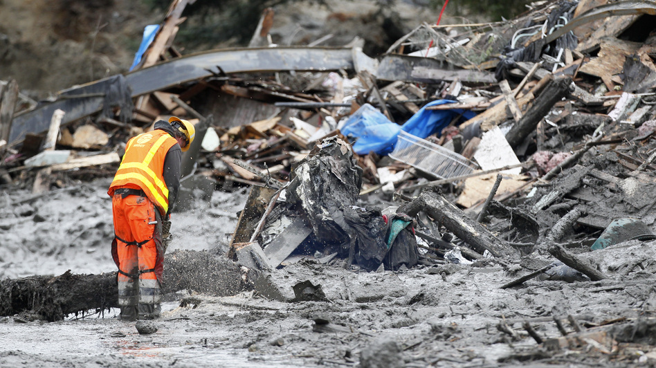 A worker uses a chain saw at the scene of the deadly mudslide near Oso, Wash. Rick Wilking/AP