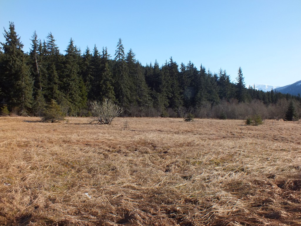 Pederson Hill