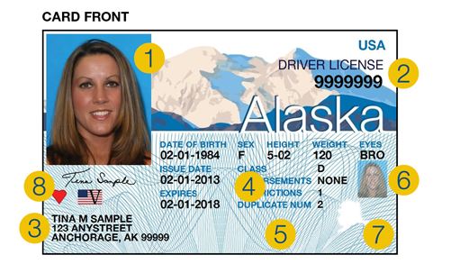 Some features of the new Alaska driver's license include a new design of Denali, fine line patterns like those on dollar bills, and a laminate with a hologram of snowflakes and the state seal. (Image from Division of Motor Vehicles)