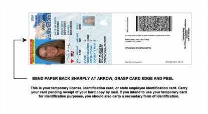DMV will issue a temporary license while a new one gets mailed within 2-4 weeks. The temporary license is a paper replica valid for 60 days. (Image courtesy of Division of Motor Vehicles)