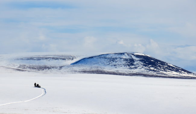 The treeless country in Alaska’s Arctic north of the Brooks Range. Researchers think cold air temperature may be the biggest factor preventing trees from growing on the North Slope. (Photo by Ned Rozell)