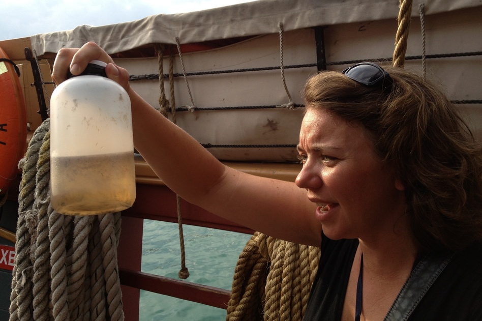 Researcher Sherri Mason looks for microbeads in a water sample from Lake Michigan. Legislation to phase out products containing the beads is pending in New York and Illinois. Cheryl Corley