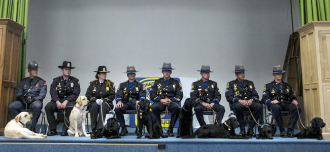 In June, the 167th Patrol Dog Class graduated from their canine narcotics and electronic media detection training, held by the Connecticut State Police Canine Unit. At far left is Thoreau, who now helps police in Rhode Island find computer hard drives. Daniel Owen/Courtesy of The Hartford Courant