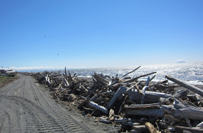 The beginning of the Shaktoolik coastal berm. (Photo by Anna Rose MacArthur/KNOM)