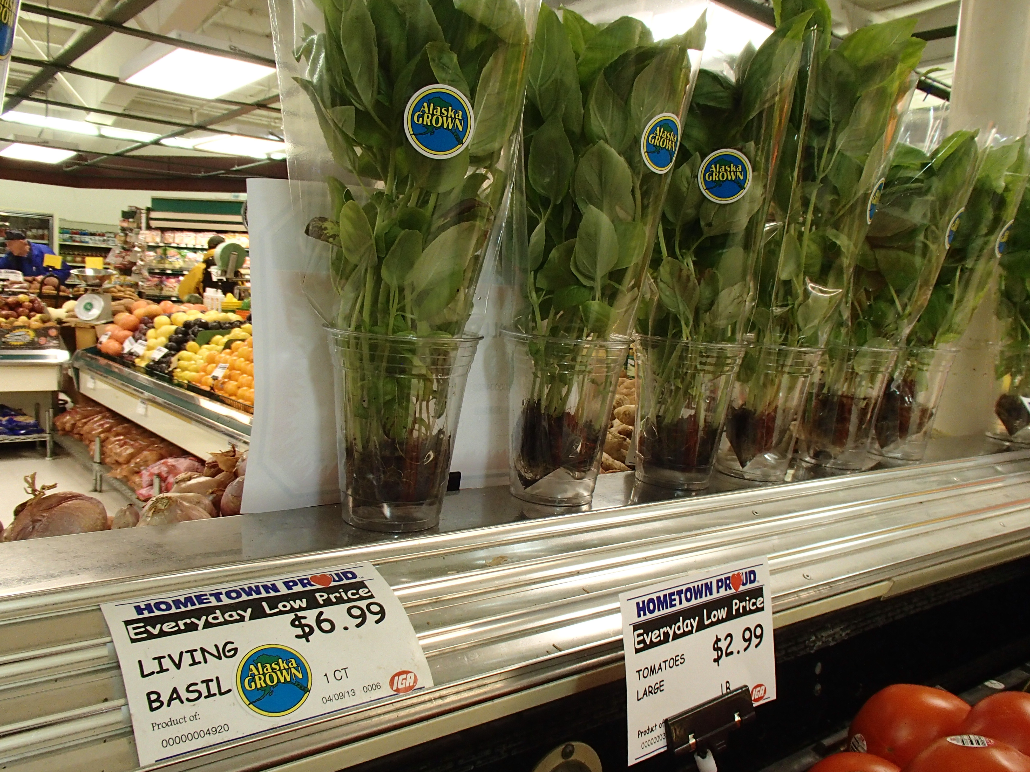 Foodland IGA produce manager Jonathan Cristobal says customers prefer the living basil over the packaged stuff. (Photo by Lisa Phu/KTOO)