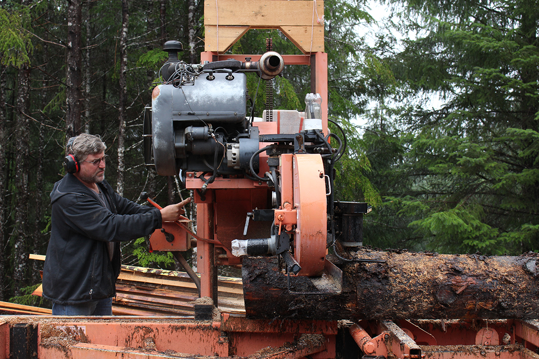 Frozen spruce make for extra dangerous woodcutting