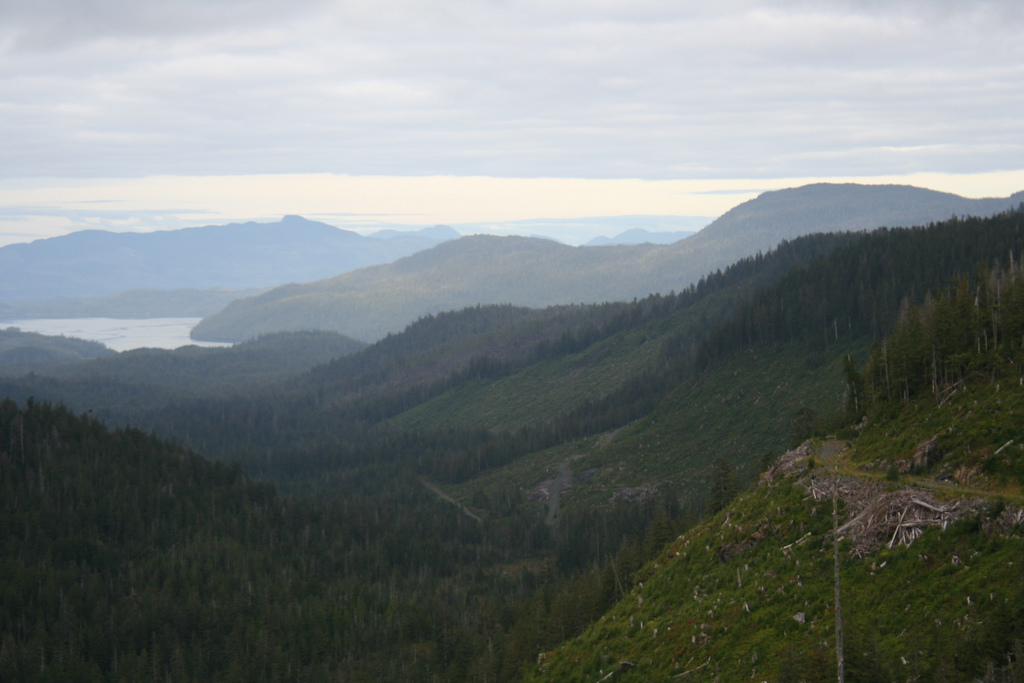 Clearcuts and old-growth forests are part of the view on Prince of Wales Island. A ruling in an environmental lawsuit says the island's Big Thorne timber sale can proceed. (Creative Commons photo by <a href="https://flic.kr/p/roeps">Nick Bonzey</a>)