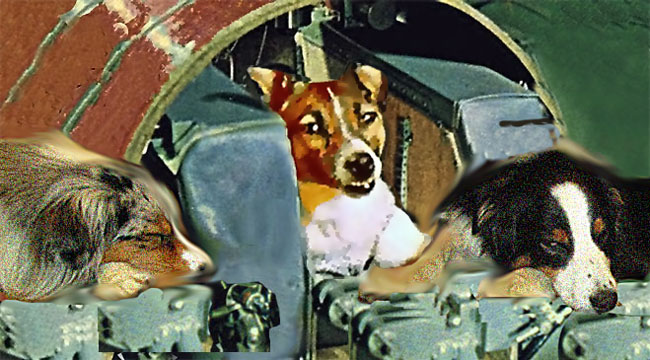 Laika.GaWy_650x360