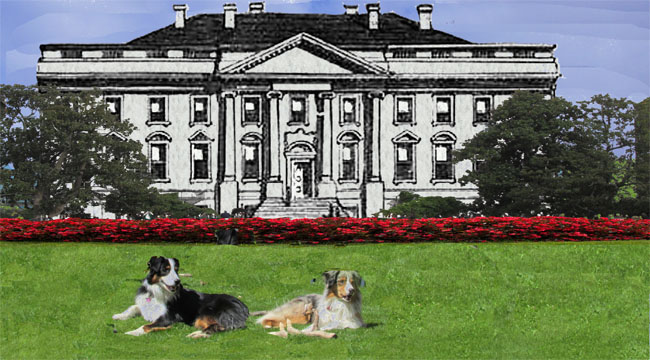 WhiteHouseGaWy_650x360