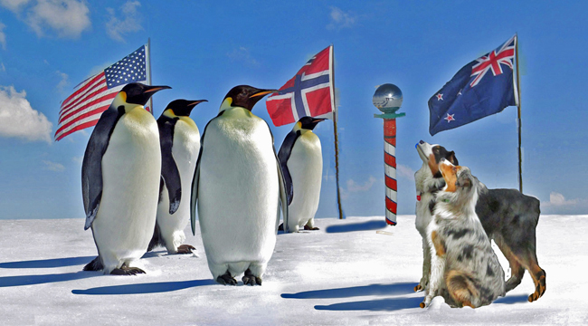 AnarcticTreaty.GaWy_650x360_edited-1