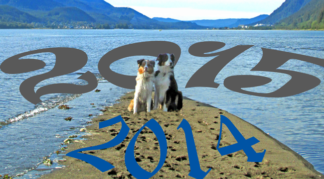 2014.to.2015_GaWy