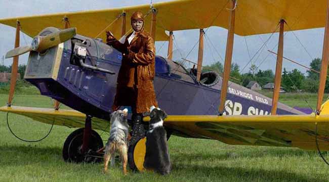 BeeseColemanGaWy3_650x360