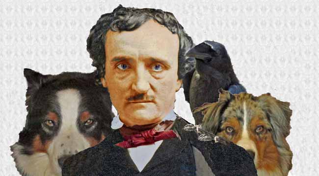 EdgarPoe.GaWy4_650x360