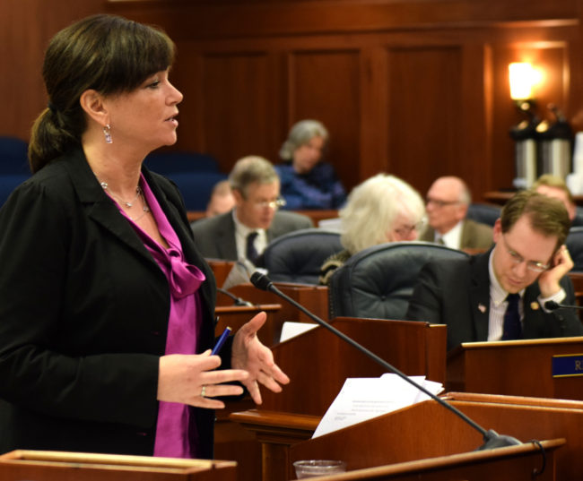 Rep. Charisse Millett, R-Anchorage, wraps up debate on House Bill 44, also known as "Erin's Law," in the Alaska House of Representatives on Saturday. (Photo by Skip Gray/360 North)