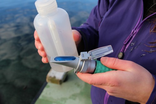 Ketchikan Indian Community checking Ketchikan beaches and shellfish for toxins
