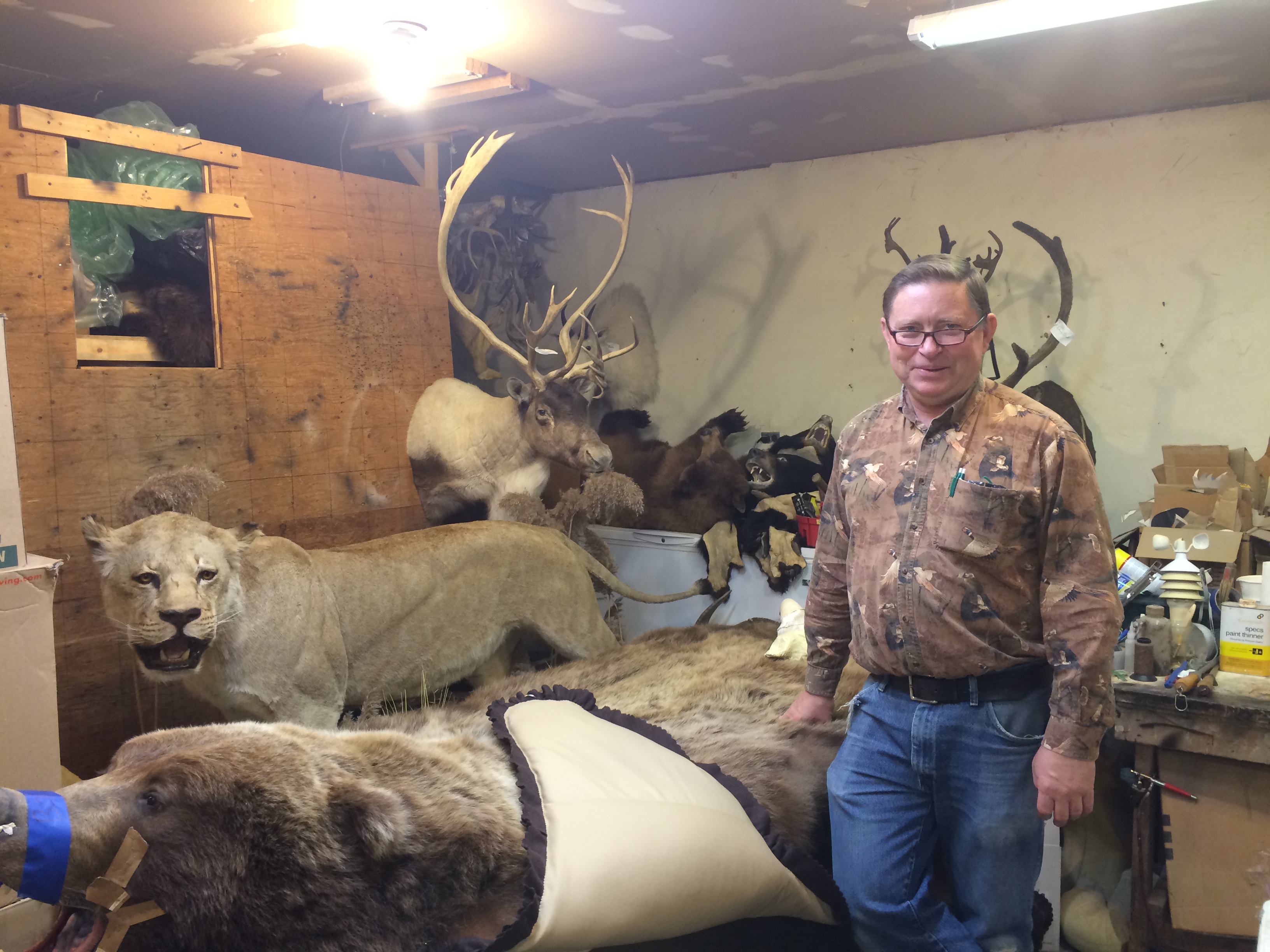 Palmer taxidermist devotes a lifetime to still life
