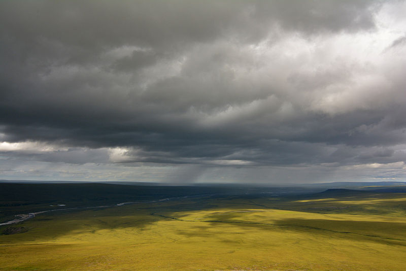 Much of the North Slope of Alaska is characterized by low, sweeping tundra hills, and a complete absence of trees. (Creative Commons photo by Paxson Woelber)
