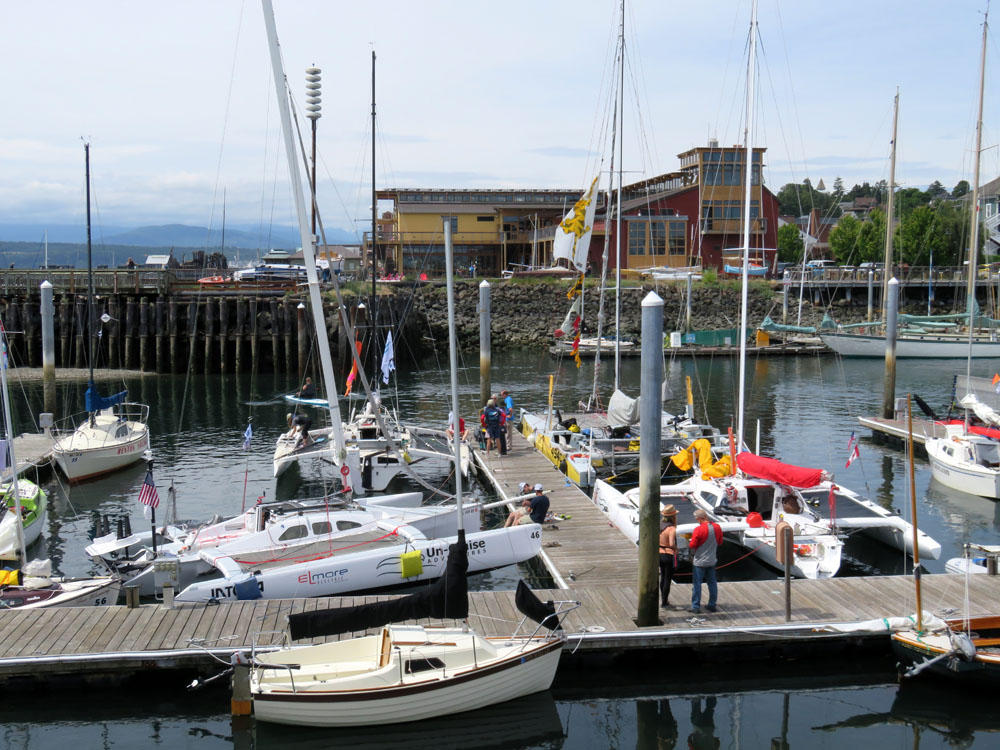 A trimaran in the 25 to 34-foot range is the preferred choice of many of the most competitive sailors in this year's Race to Alaska. Team Mail Order Bride, Team Un-Cruise Adventures and Team Bad Kitty are among those seen here. (Photo by Tom Banse/Northwest News Network)
