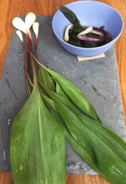 Chef Rob Weland fermented ramps to make a ramp kimchi, which was featured on his menu this spring at Garrison restaurant in Washington, D.C. Allison Aubrey/NPR