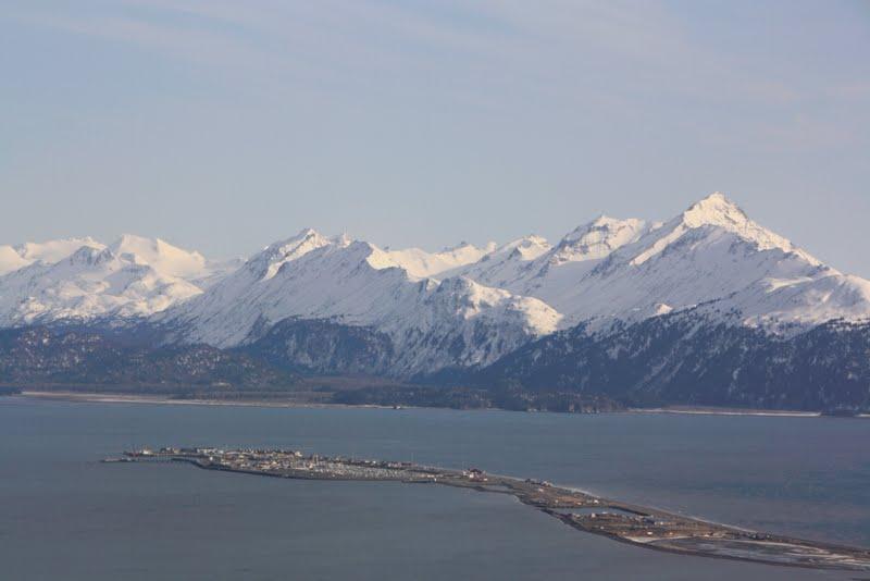 Homer tourism reaches all-time high, visitor center coordinator says