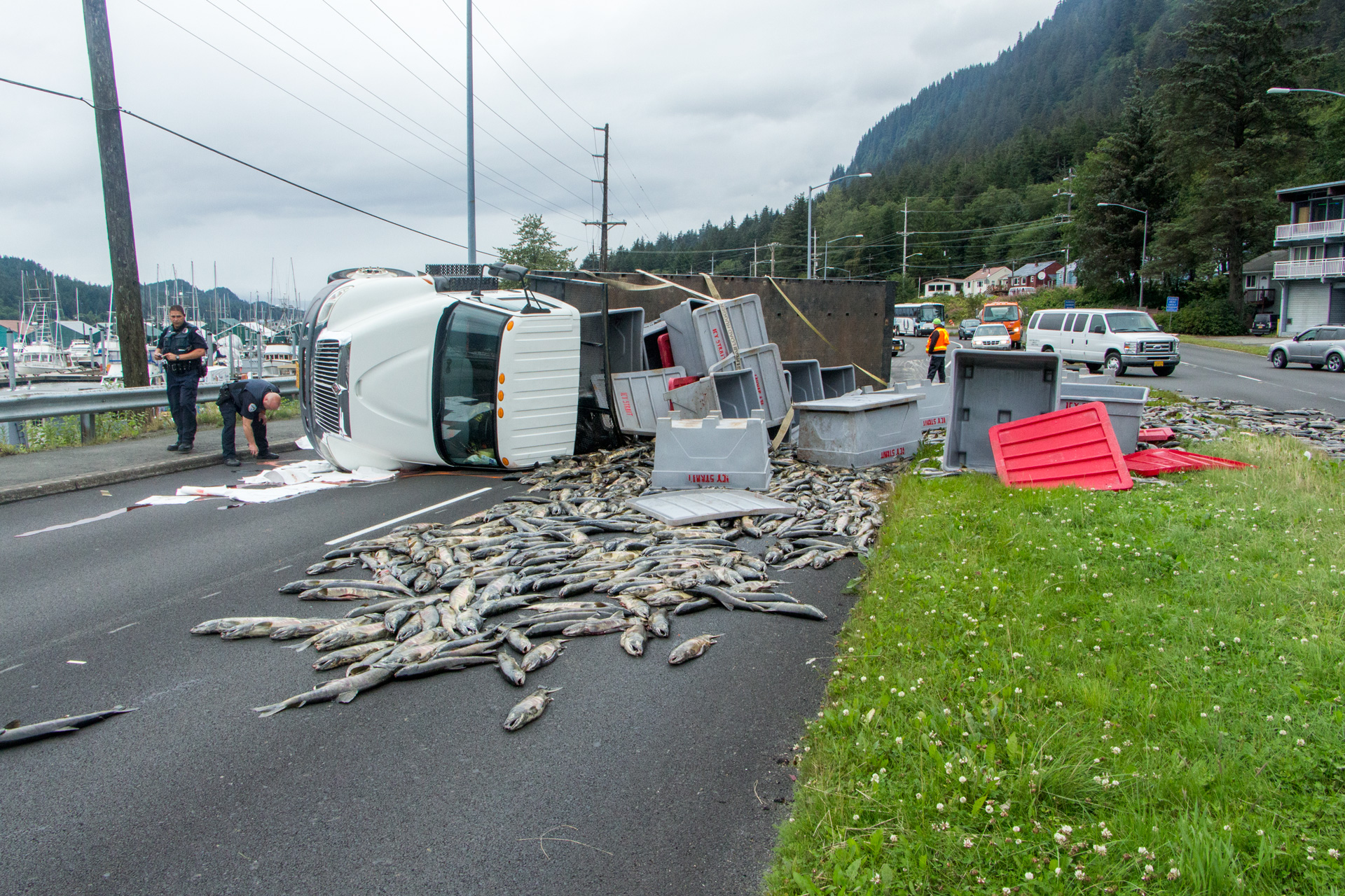 Overturned truck blocks Egan with load of fish