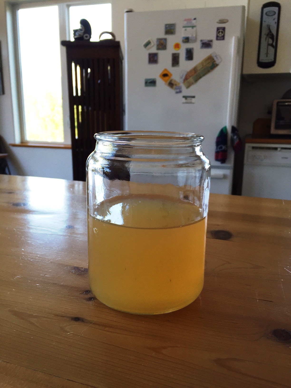 Piping problem leads to dry taps, brown water in Haines