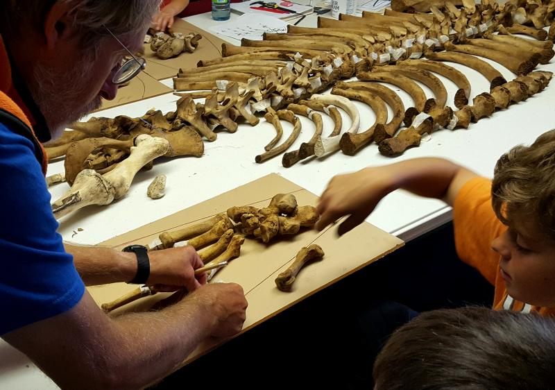 Marine mammal camp nurtures budding scientists