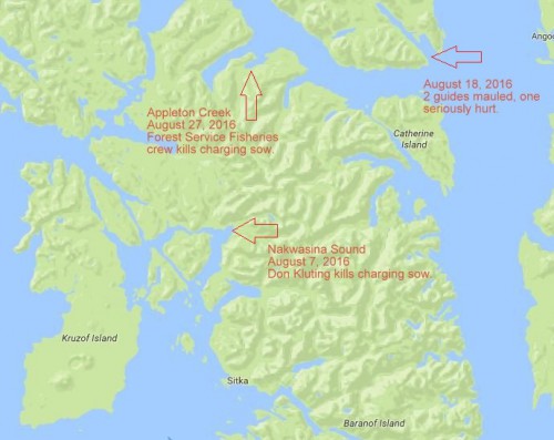 With 3 attacks in a month, Sitka bears showing ‘stress,’ district ranger says