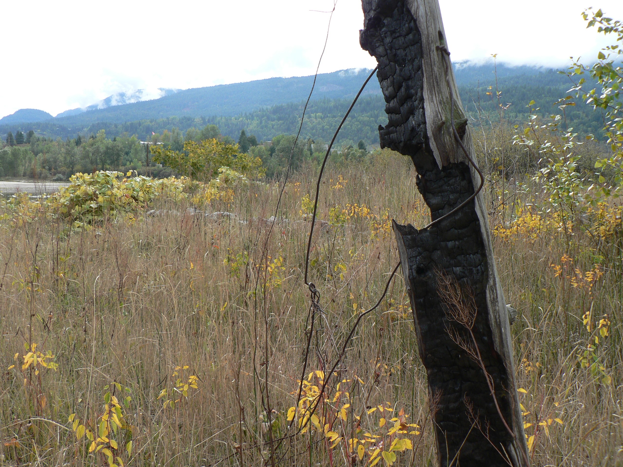 Tribe Claims Cross-Border Rights as Hunting Violations Head to Canadian Court