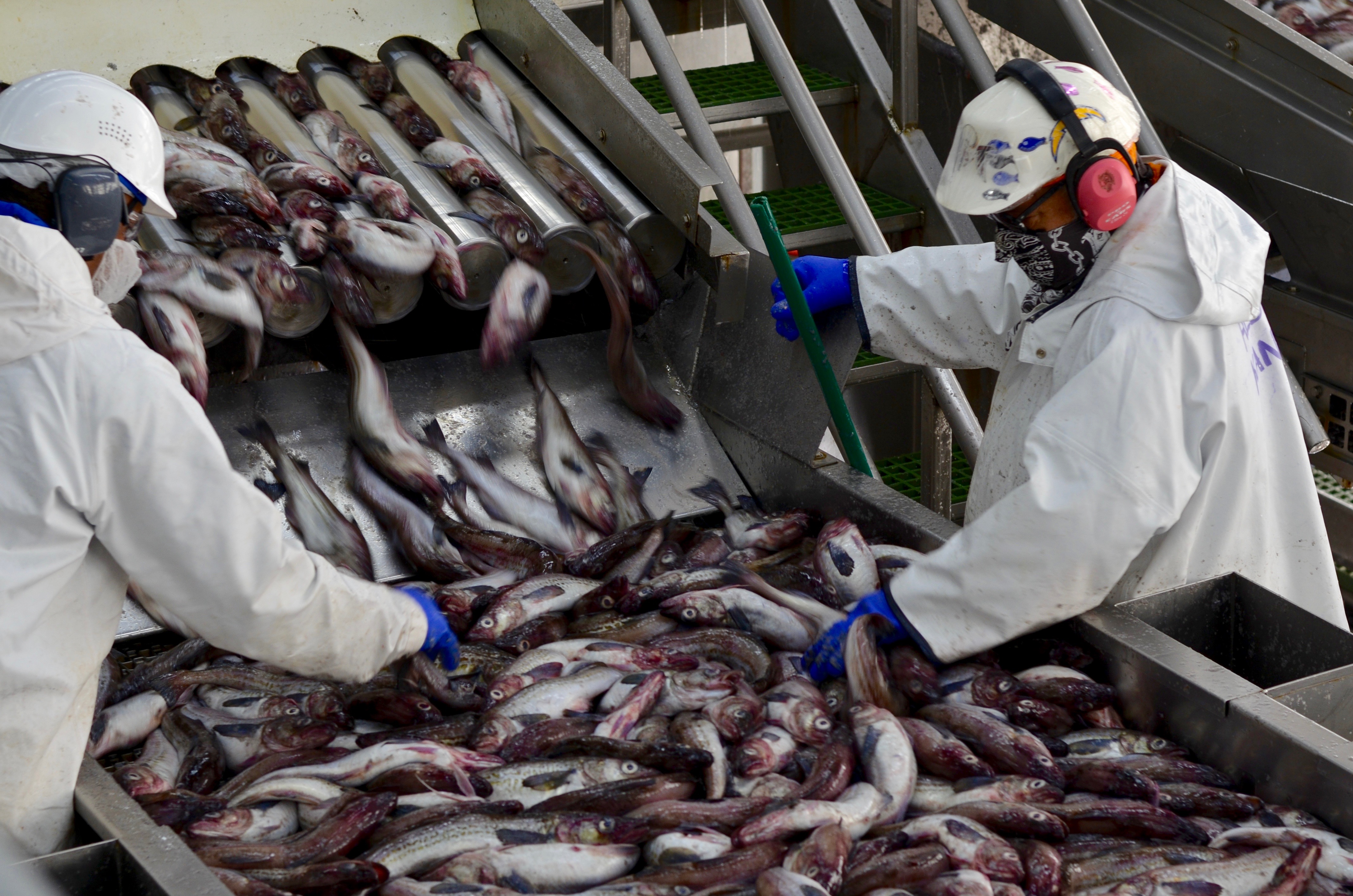 Dutch Harbor remains nation’s top fishing port