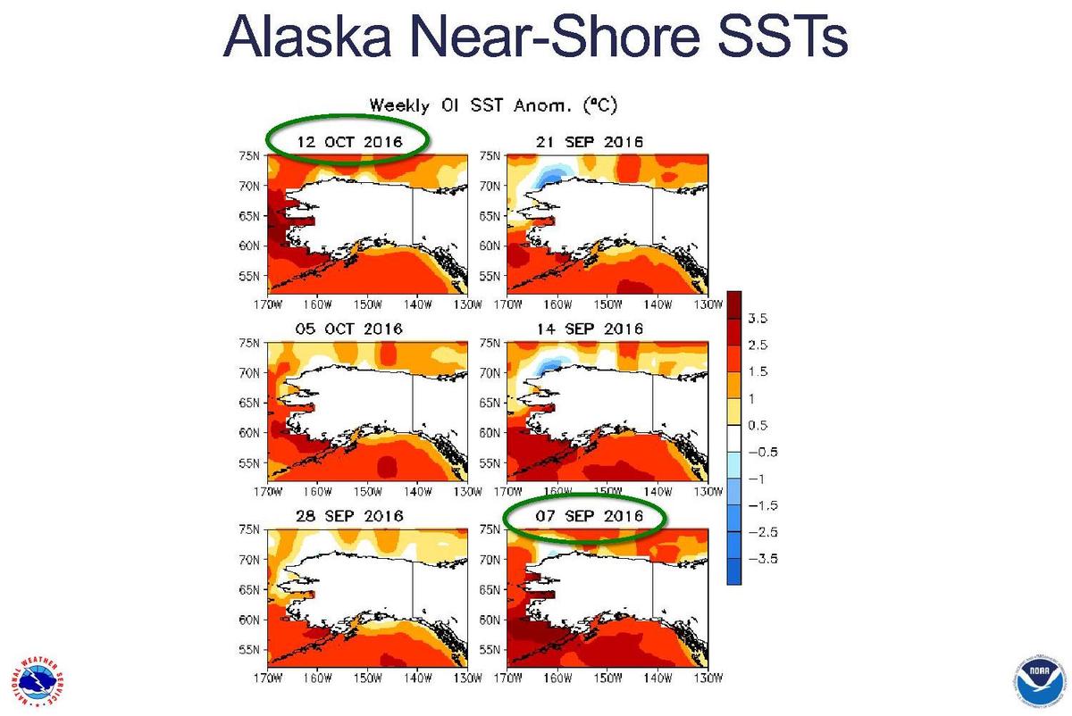 No El Niño, but sparse sea ice, warm ocean water could mean near-normal 2016-17 winter