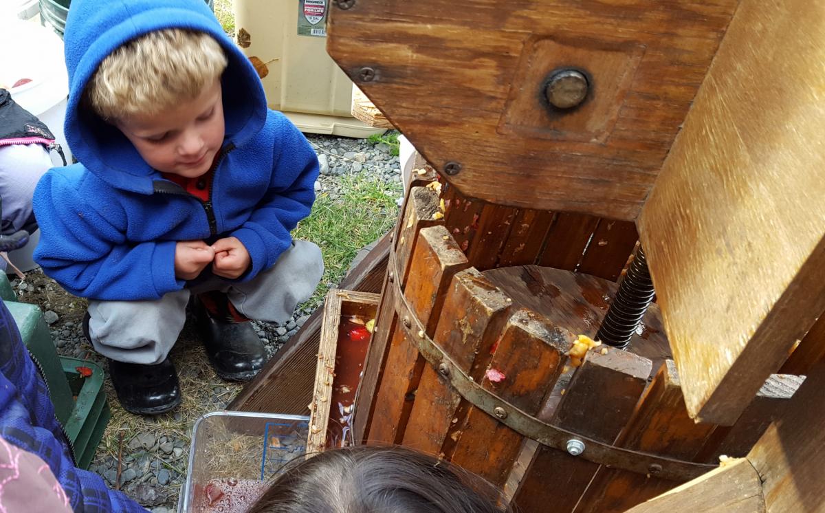 Folk school teaches skills in carpentry, gardening and medicine
