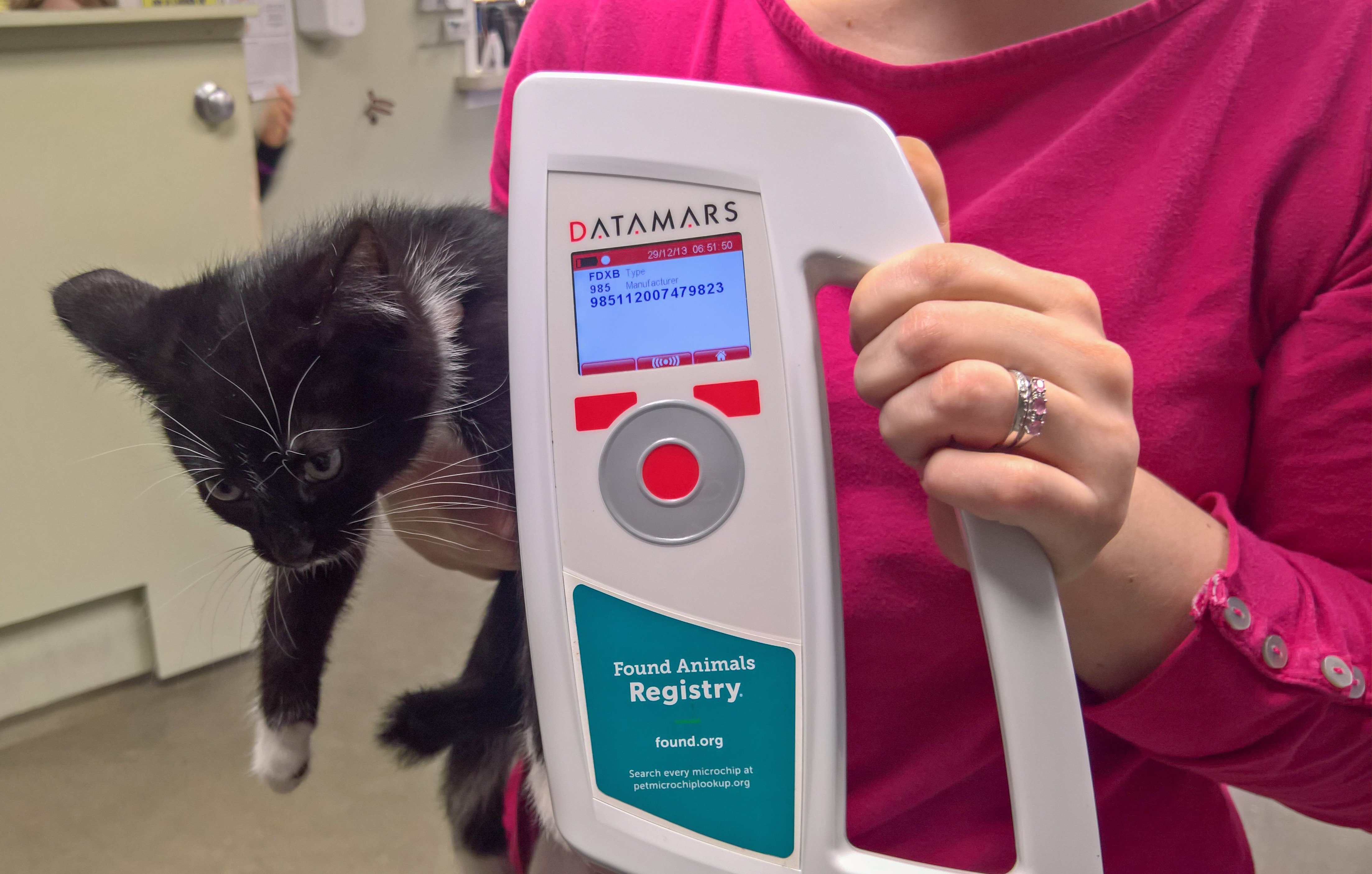 Juneau animal control officials seek mandatory microchips for dangerous pets