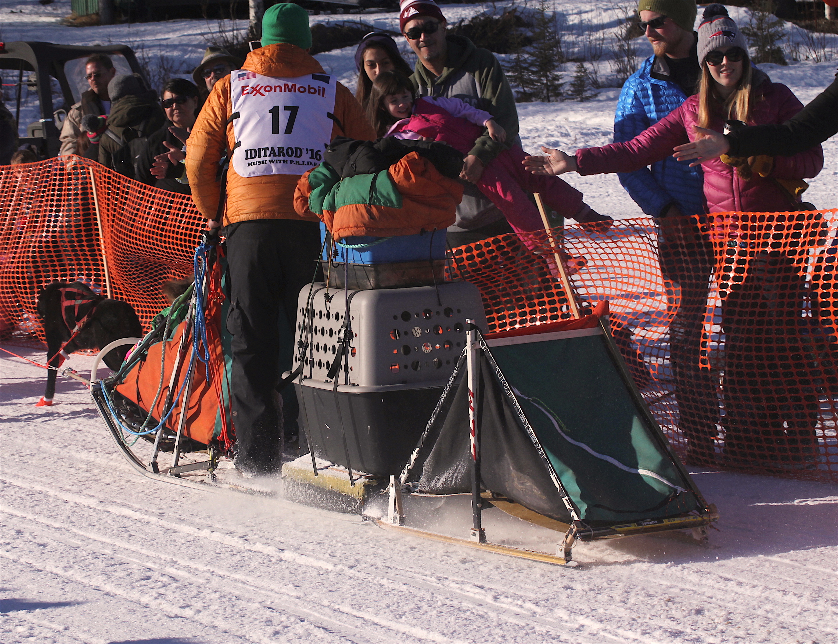 Officials ban trailers for carrying dogs in Iditarod
