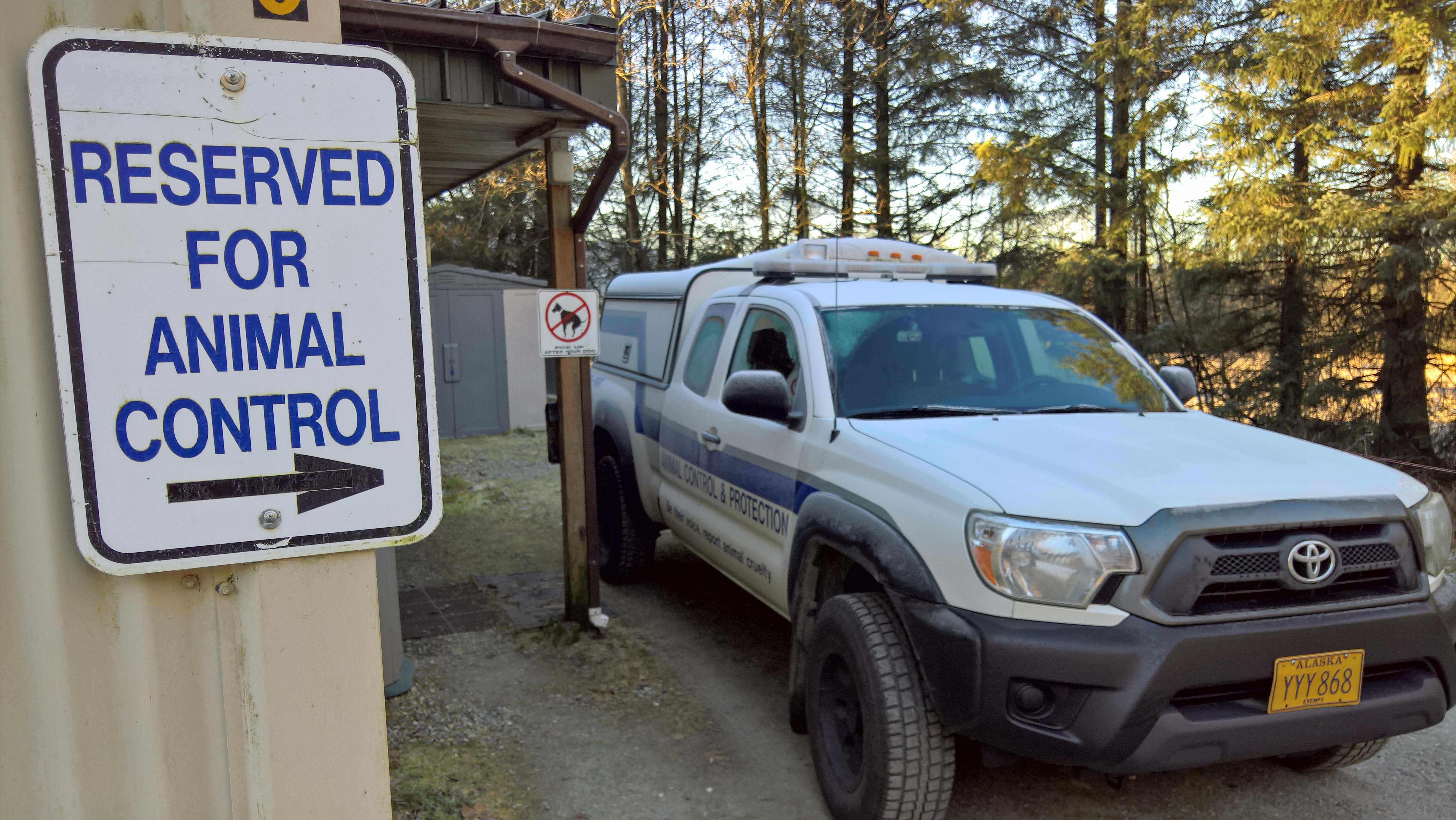 New rules for Juneau’s dangerous dogs take effect next month