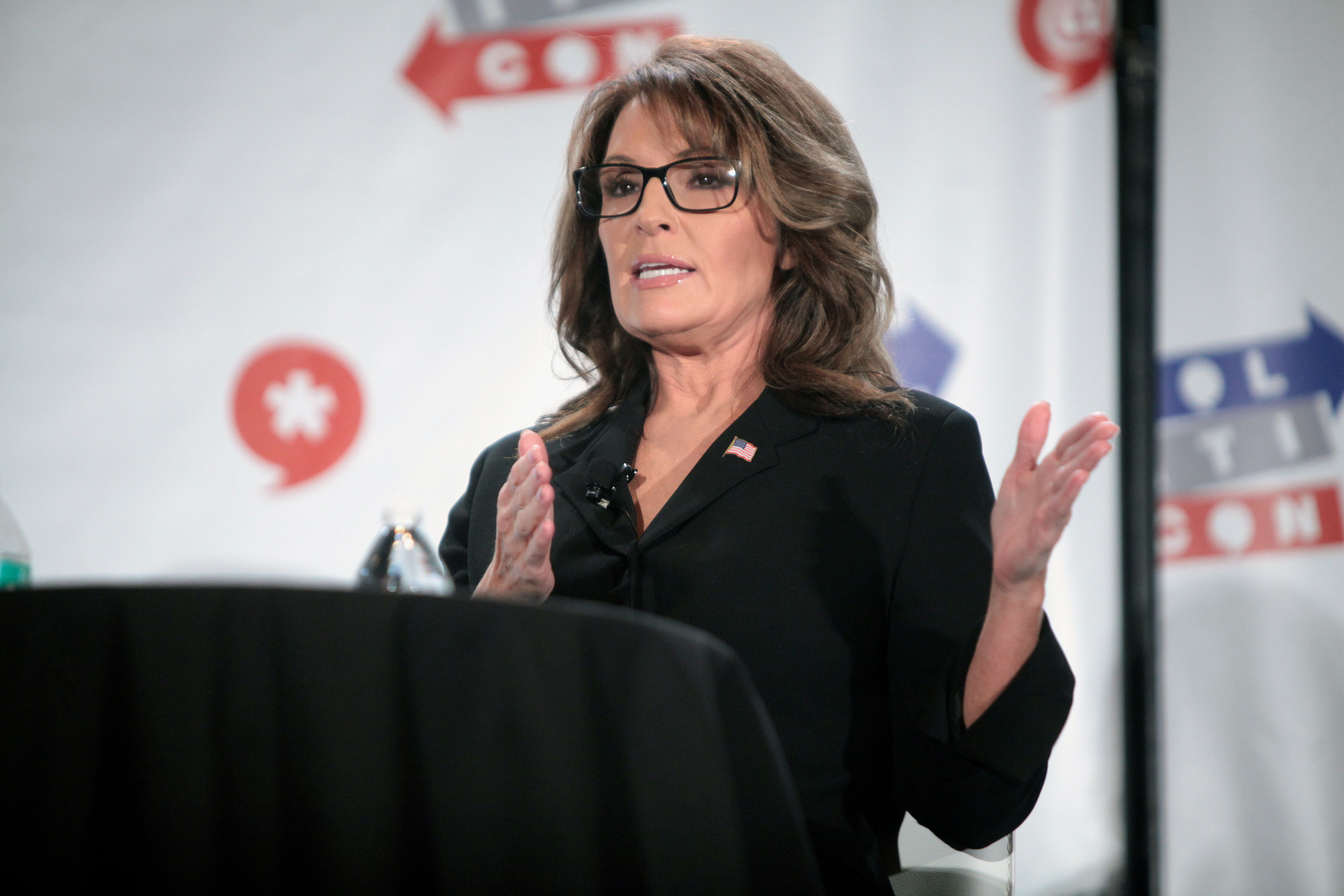 Palin for VA? She seems eager