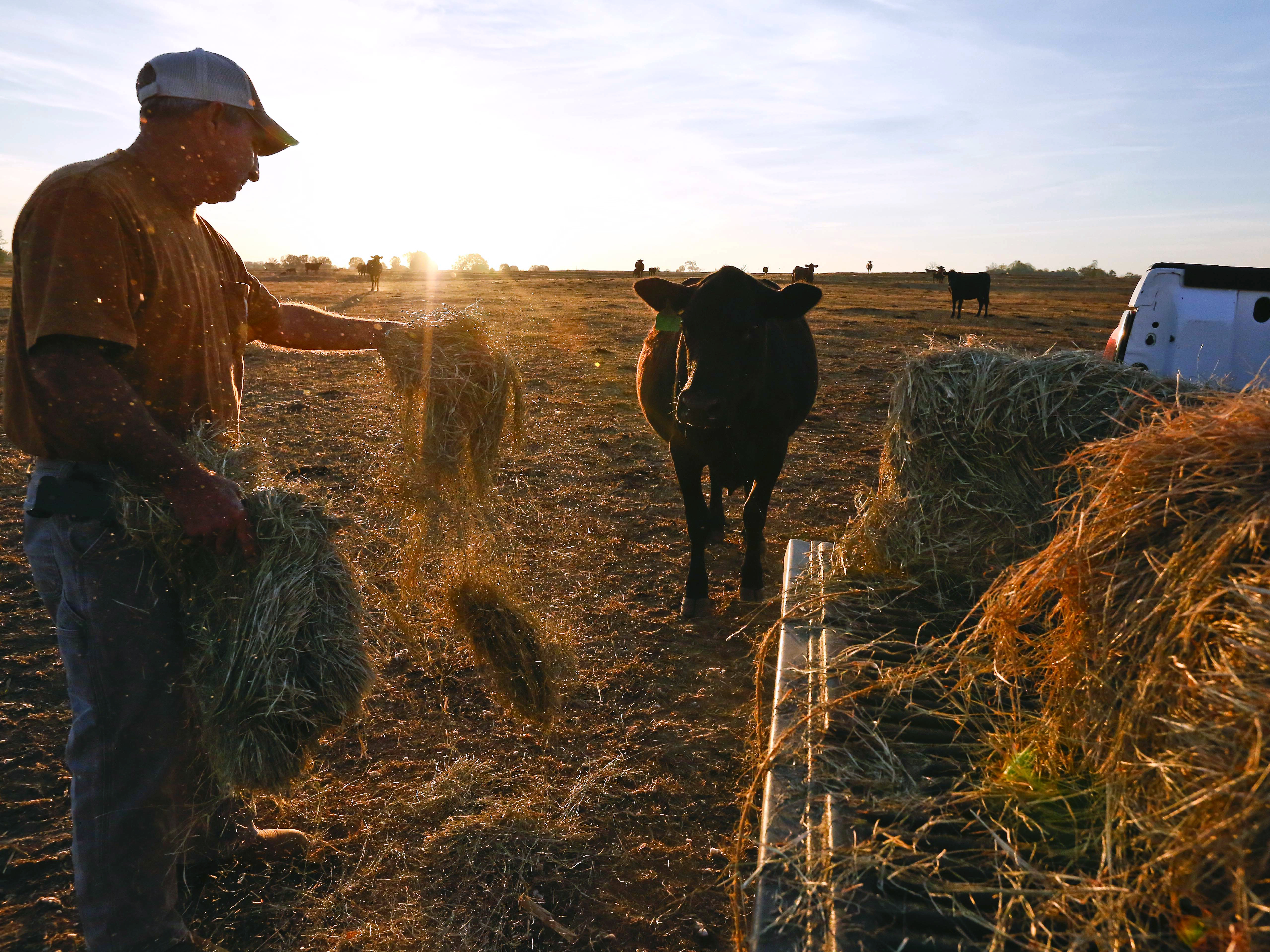 Much of the southeast U.S. is grappling with drought