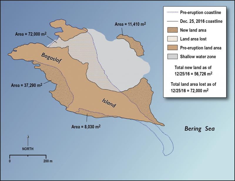 Monitoring Bogoslof: How life responds to volcanic destruction