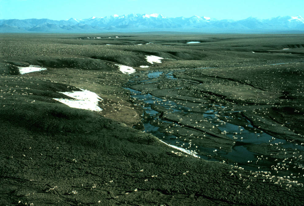 In looming fight over ANWR, a big unanswered question: how much oil is there?