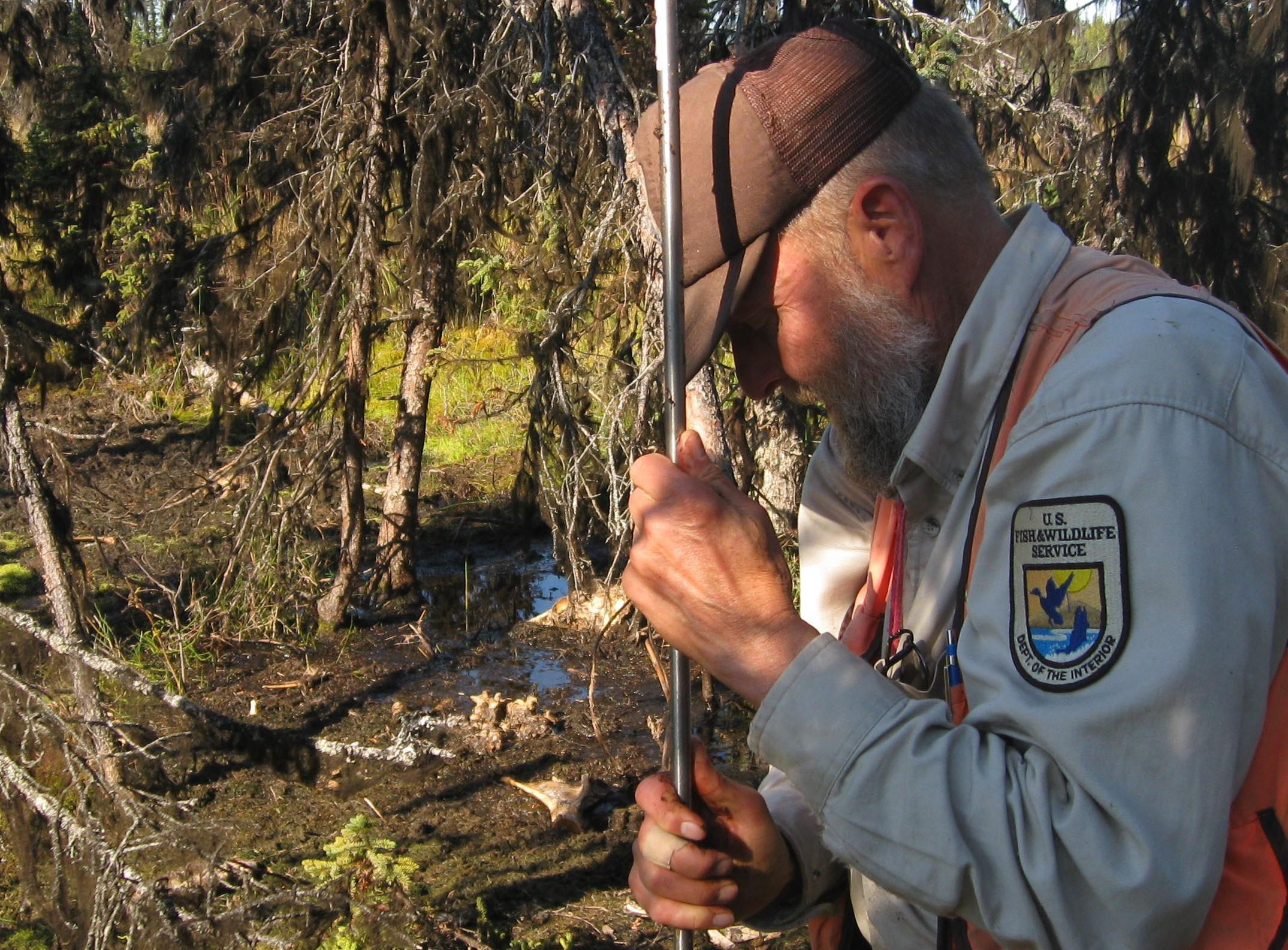 Kenai Peninsula permafrost thawing rapidly, researchers say